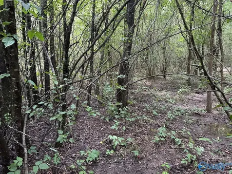 0.9 Acres Branch Cove Road Odenville AL 35120