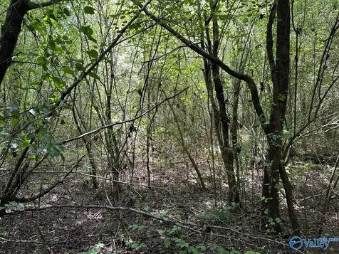 0.9 Acres Branch Cove Road Odenville AL 35120