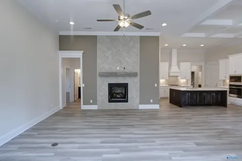 12370 Narayan Street Madison AL 35756