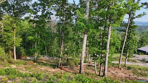 51 Fall Creek Drive Guntersville AL 35976