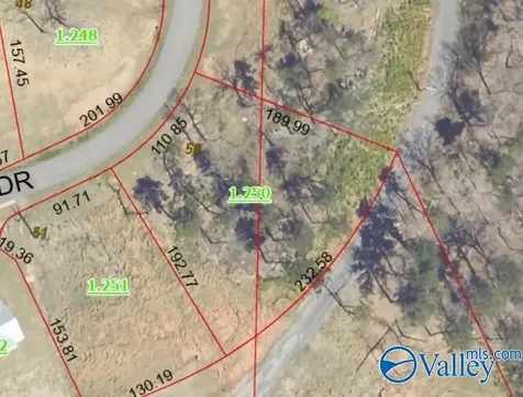 51 Fall Creek Drive Guntersville AL 35976