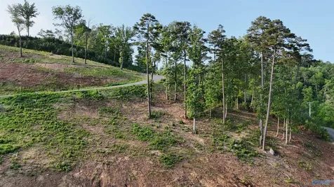 51 Fall Creek Drive Guntersville AL 35976