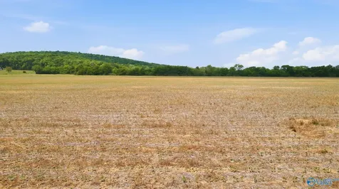 38 Acres Thomas Lane Grant AL 35747
