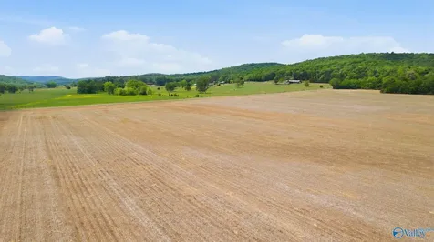 38 Acres Thomas Lane Grant AL 35747