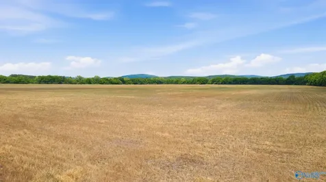 38 Acres Thomas Lane Grant AL 35747