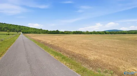 38 Acres Thomas Lane Grant AL 35747