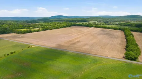 38 Acres Thomas Lane Grant AL 35747