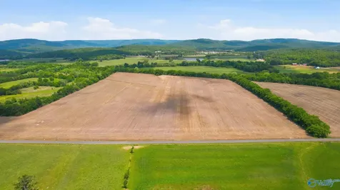 38 Acres Thomas Lane Grant AL 35747