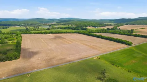 38 Acres Thomas Lane Grant AL 35747