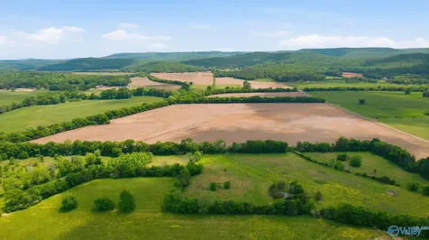 38 Acres Thomas Lane Grant AL 35747