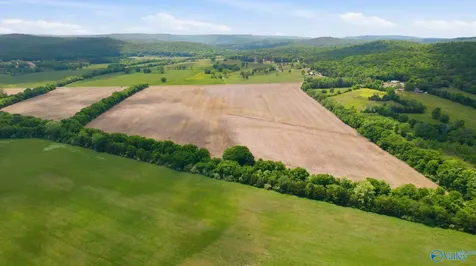 38 Acres Thomas Lane Grant AL 35747