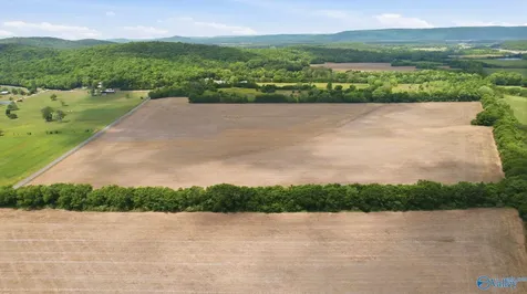 38 Acres Thomas Lane Grant AL 35747