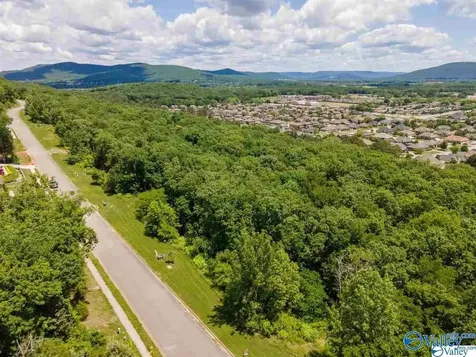 7037 Ridge Crest Road Owens Cross Roads AL 35763