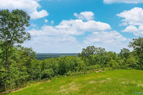 415 County Road 844 Mentone AL 35984