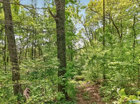 475 Old Elkton Pike Fayetteville TN 37334
