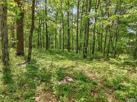 475 Old Elkton Pike Fayetteville TN 37334