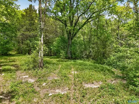 475 Old Elkton Pike Fayetteville TN 37334