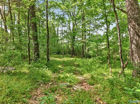 475 Old Elkton Pike Fayetteville TN 37334