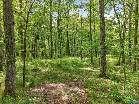 475 Old Elkton Pike Fayetteville TN 37334
