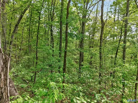 475 Old Elkton Pike Fayetteville TN 37334