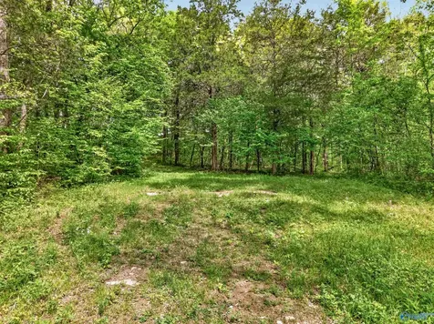475 Old Elkton Pike Fayetteville TN 37334