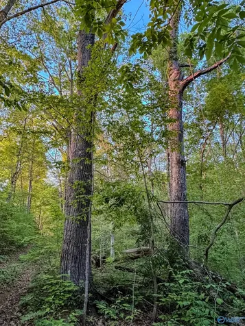 475 Old Elkton Pike Fayetteville TN 37334