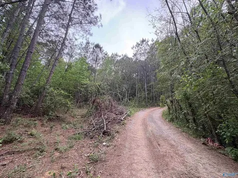 Lot 1 Wilhite Road Falkville AL 35622