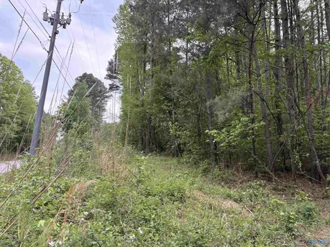 Lot 1 Wilhite Road Falkville AL 35622
