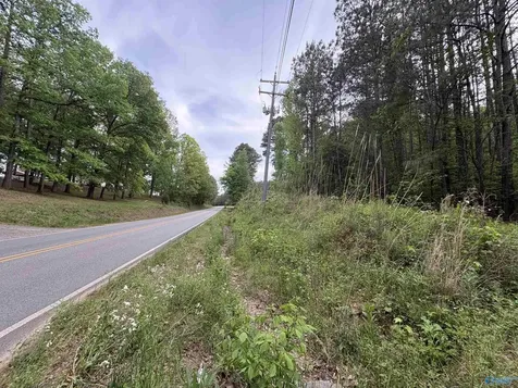 Lot 1 Wilhite Road Falkville AL 35622