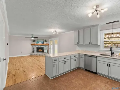 1127 Mahan Drive Madison AL 35758