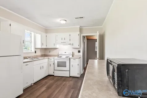 80 Mcdonald Lane Guntersville AL 35976