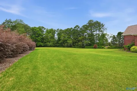 1150 Balch Road Madison AL 35757