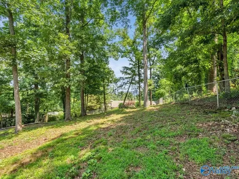 3516 Cedar Lane Guntersville AL 35976