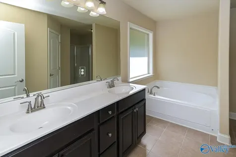 29788 Crockett Run Lane NW Harvest AL 35749