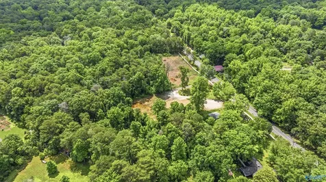 5548 Alabama Highway 117 Mentone AL 35984