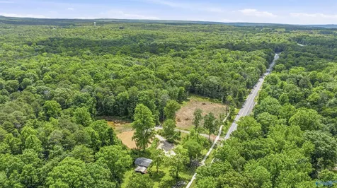 5548 Alabama Highway 117 Mentone AL 35984