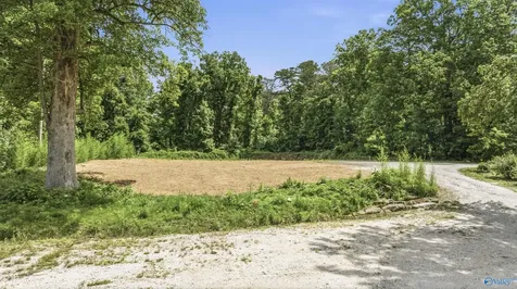 5548 Alabama Highway 117 Mentone AL 35984