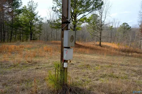 126 Acres Odenville AL 35120