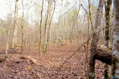 126 Acres Odenville AL 35120