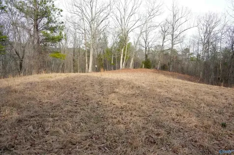 126 Acres Odenville AL 35120