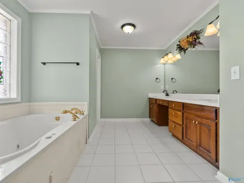 102 Bay Leaf Drive Madison AL 35758