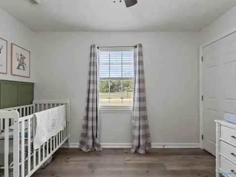 534 Hill Bluff Road Guntersville AL 35976