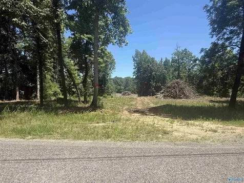 16 Ac Bishop Mountain Road Grant AL 35747