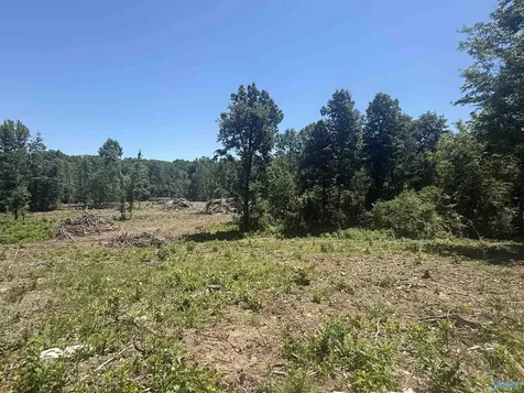 16 Ac Bishop Mountain Road Grant AL 35747