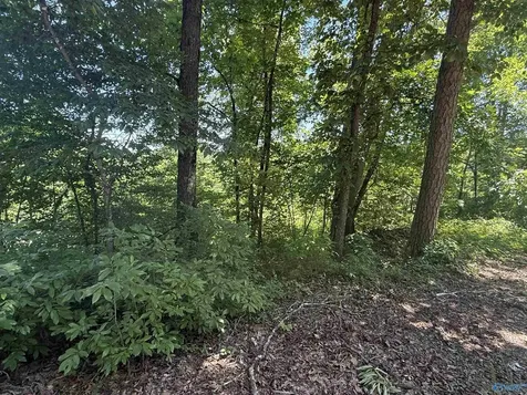16 Ac Bishop Mountain Road Grant AL 35747