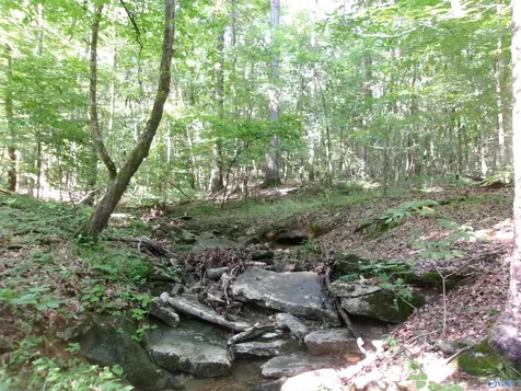 13.36 Acres County Road 531 Scottsboro AL 35768
