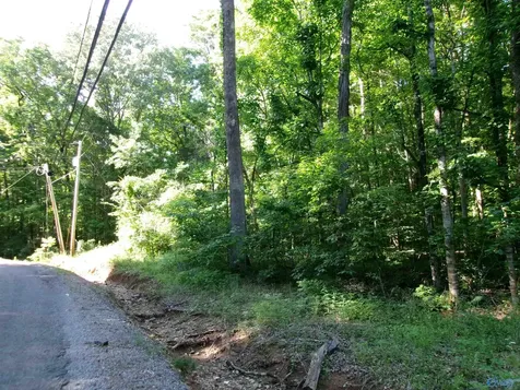13.36 Acres County Road 531 Scottsboro AL 35768