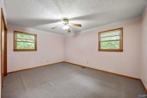 8051 Upper Snake Road Athens AL 35614