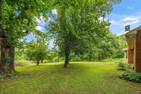 8051 Upper Snake Road Athens AL 35614