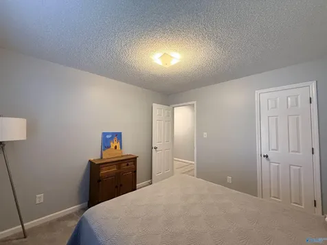 113 Portal Lane Madison AL 35758